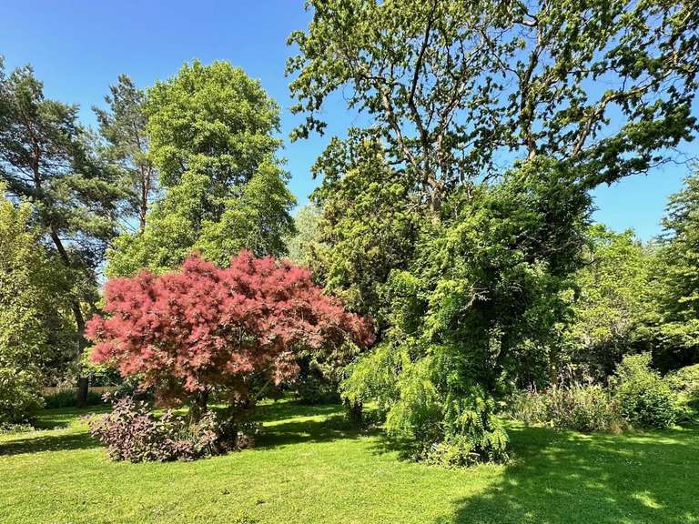 Manoir Redon - 11 chambres - 48635m²