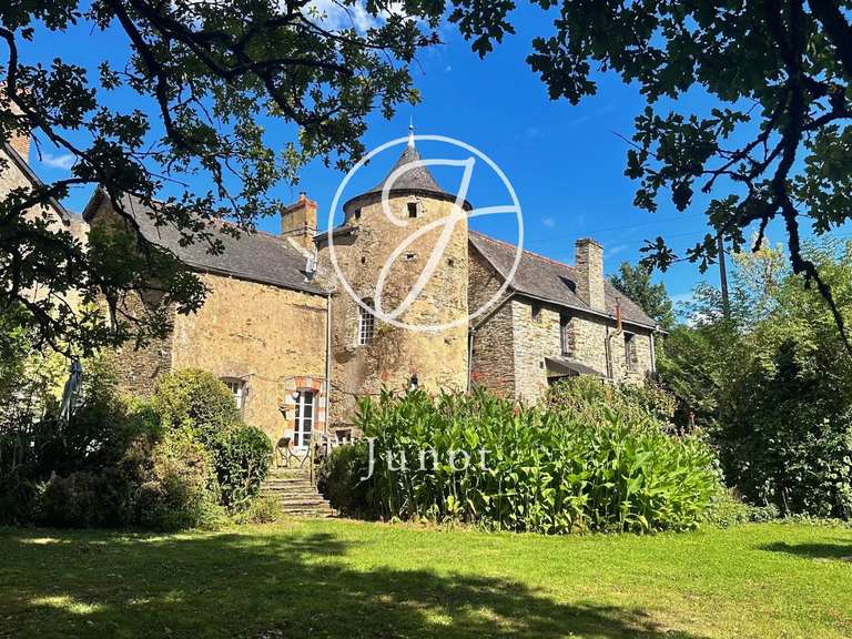 Manoir Redon - 11 chambres - 48635m²