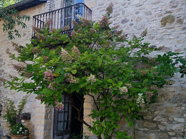 Maison Reims - 360m²