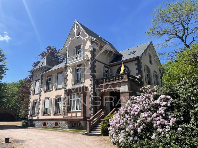 Vente Propriété Remiremont - 14 chambres