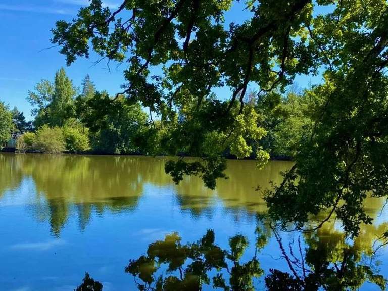 Château Rennes - 9 chambres - 1201m²