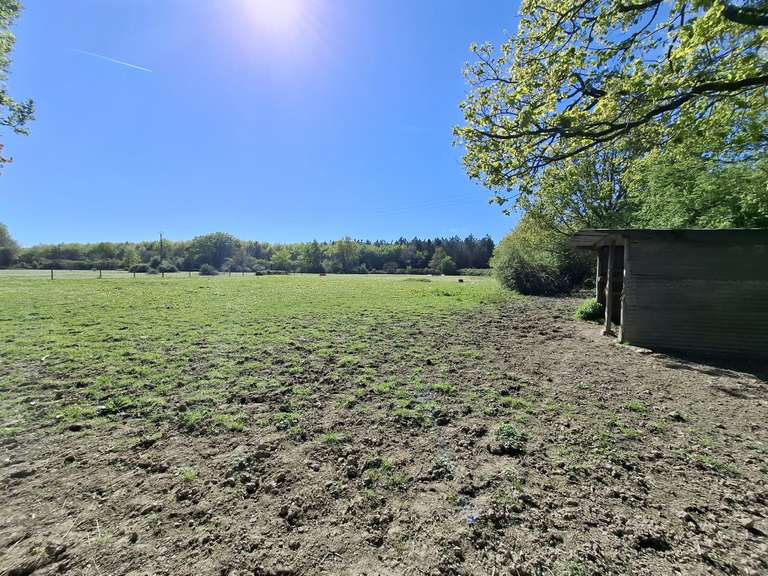 Maison Riaillé - 400m²