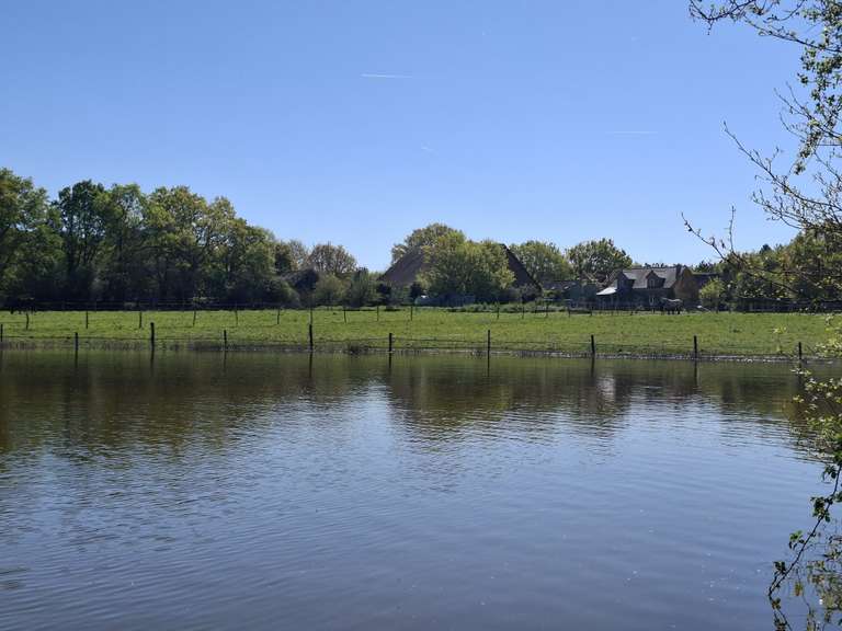 Maison Riaillé - 400m²