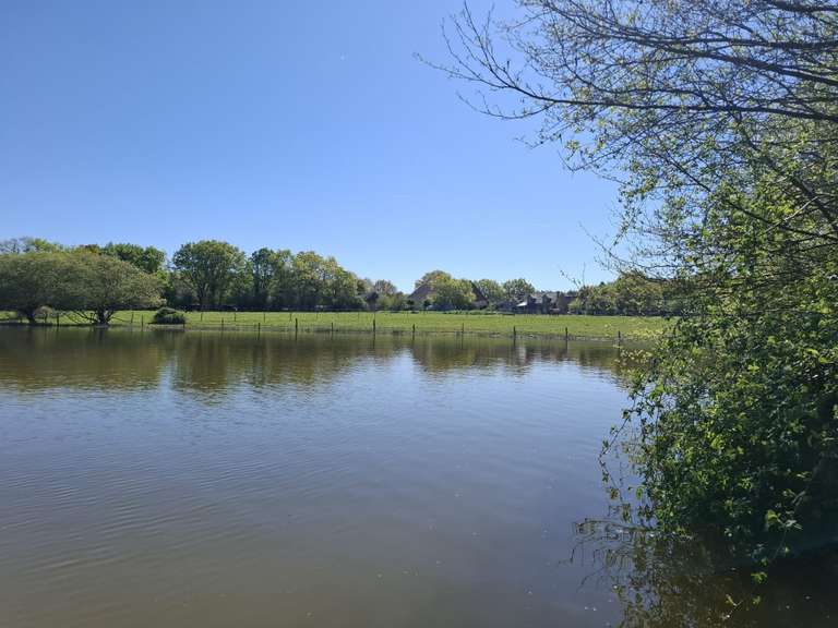 Maison Riaillé - 400m²