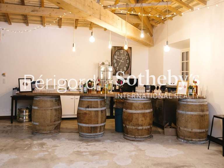 Castle Ribérac - 20 bedrooms - 1380m²