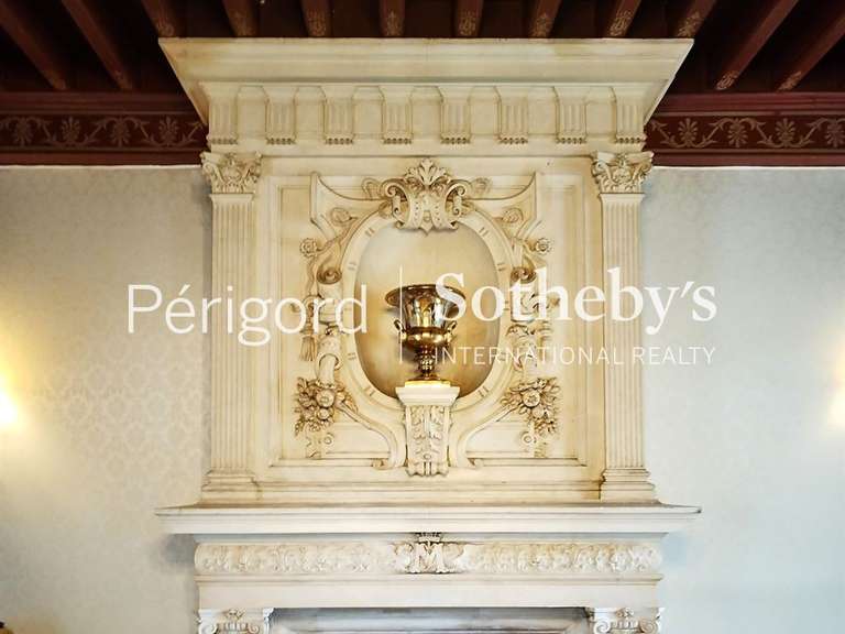 Castle Ribérac - 20 bedrooms - 1380m²