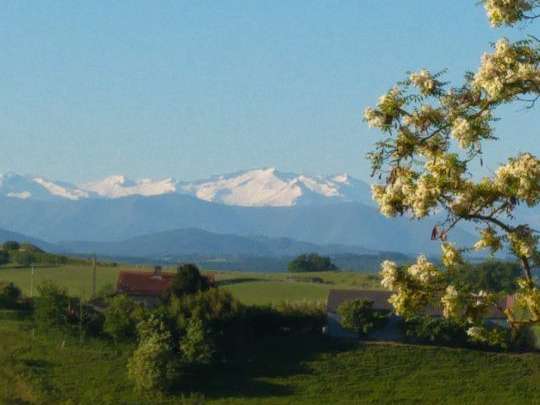 Maison Rieux - 7 chambres - 444m²