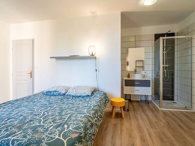 Maison Rieux-Minervois - 7 chambres - 334m²