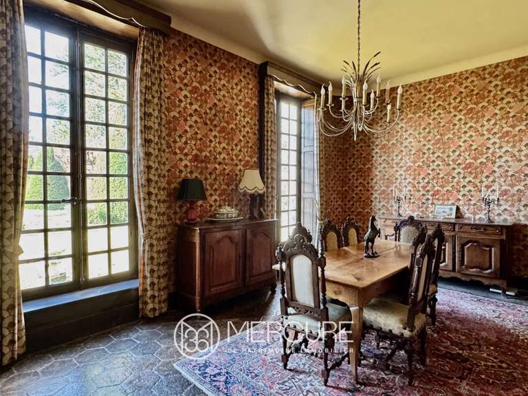 Château Riom - 13 chambres - 800m²