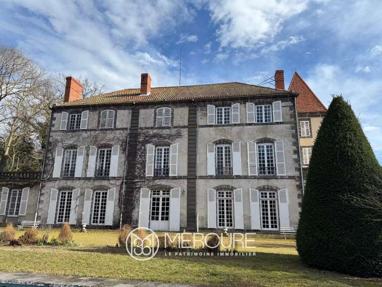 Château Riom - 13 chambres - 800m²