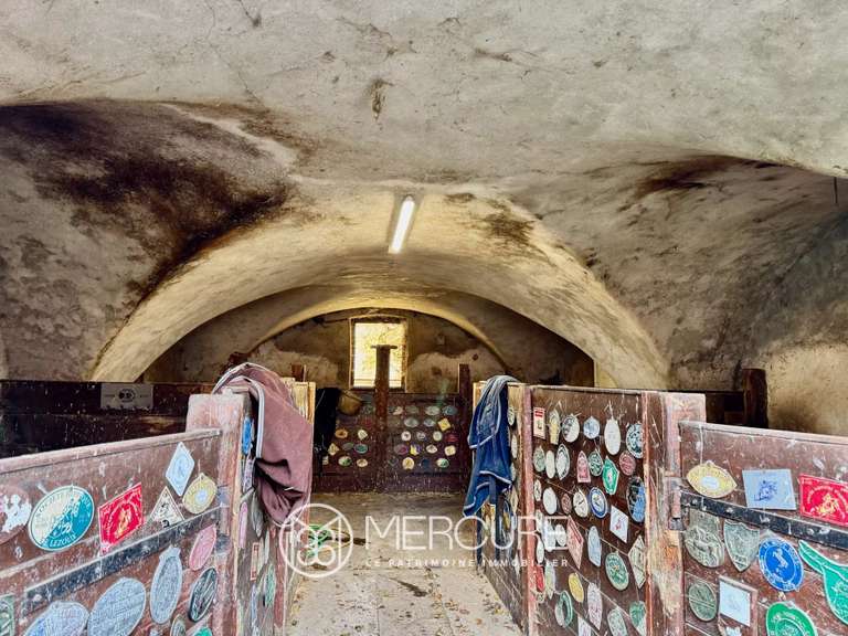 Château Riom - 13 chambres - 800m²