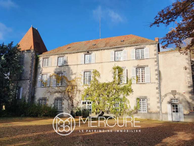 Château Riom - 13 chambres - 800m²