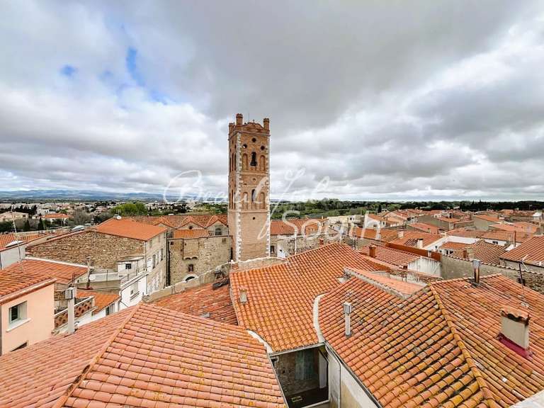 Hôtel particulier Rivesaltes - 7 chambres - 360m²