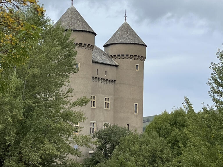 Sale Castle Rivière-sur-Tarn - 8 bedrooms