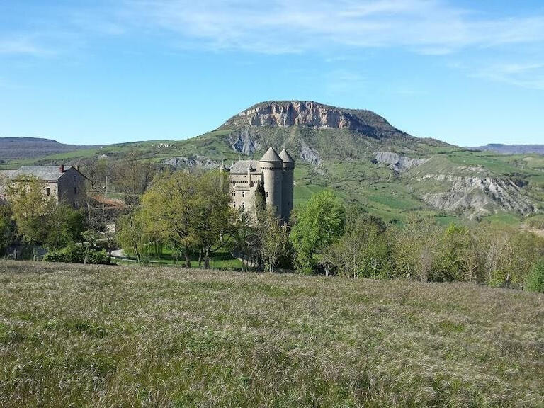 Château Rivière-sur-Tarn - 8 chambres - 500m²