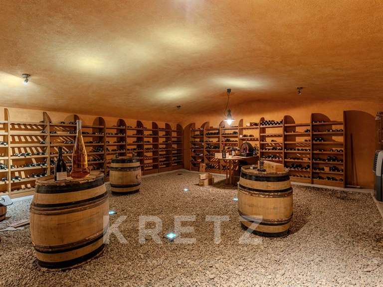 Maison Roanne - 5 chambres - 470m²