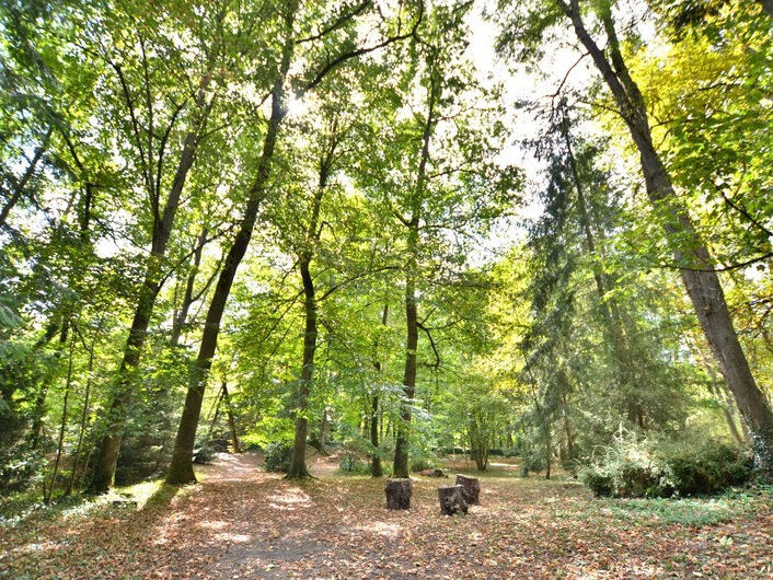 Vente Propriété Roanne - 15 chambres