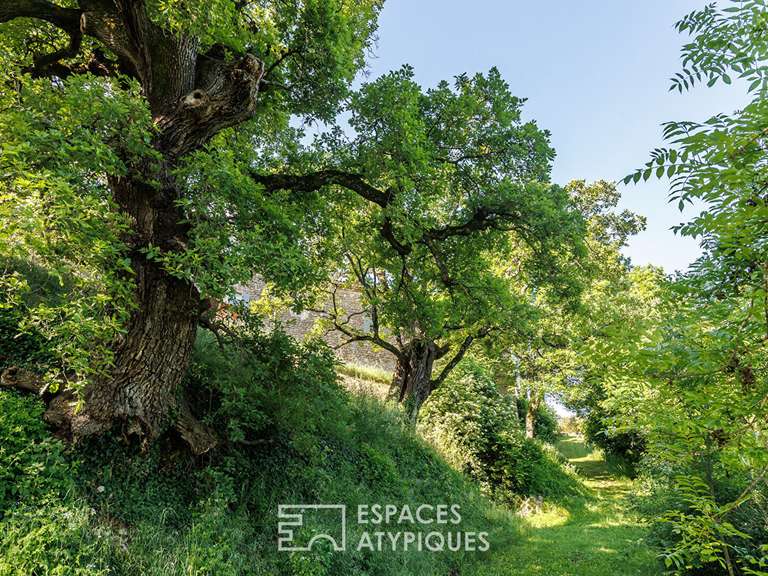 Maison Rochebaudin - 11 chambres - 815m²