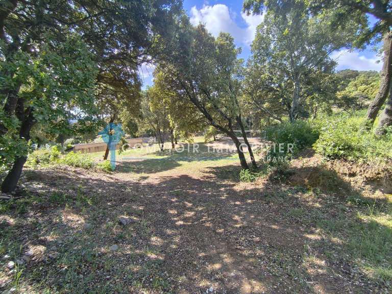 House Rochefort-du-Gard - 5 bedrooms - 260m²