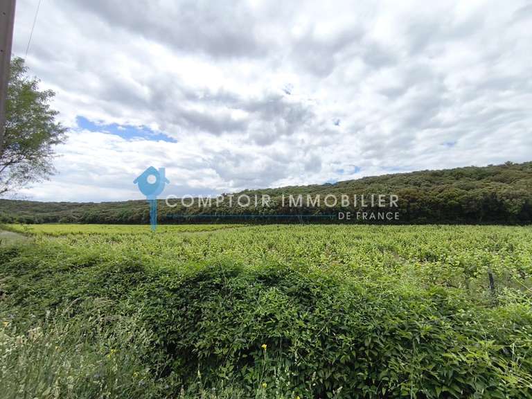 House Rochefort-du-Gard - 5 bedrooms - 260m²