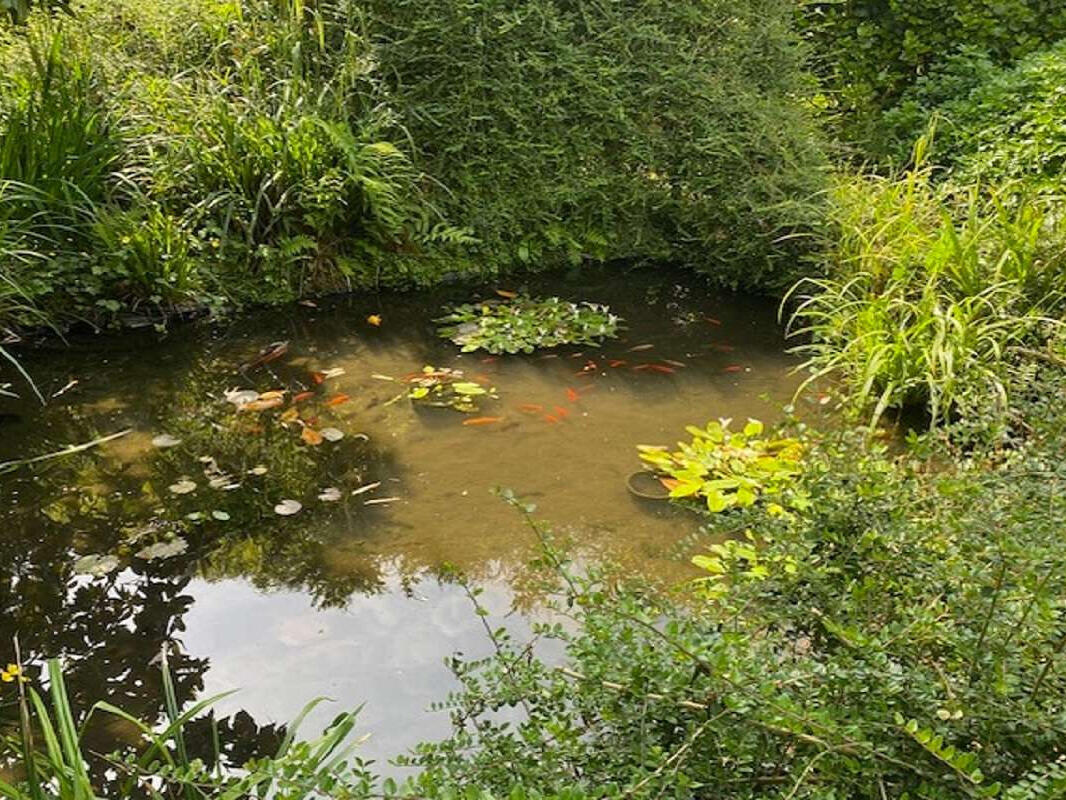 Property Rochefort-en-Terre