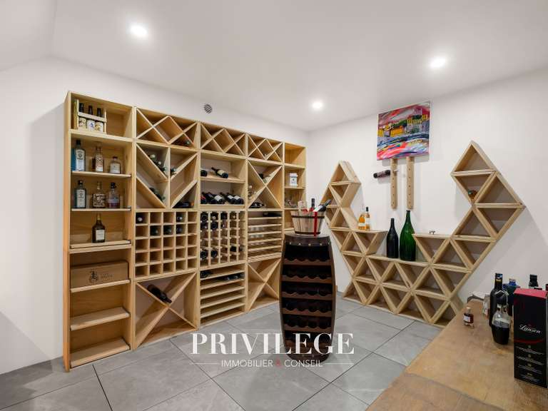 Maison Rochetaillée-sur-Saône - 5 chambres - 242m²