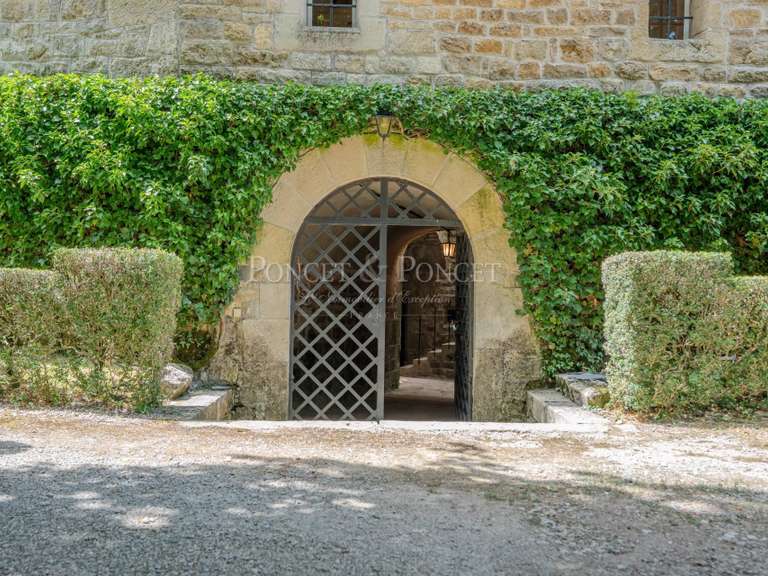 Château Rodez - 19 chambres - 2400m²