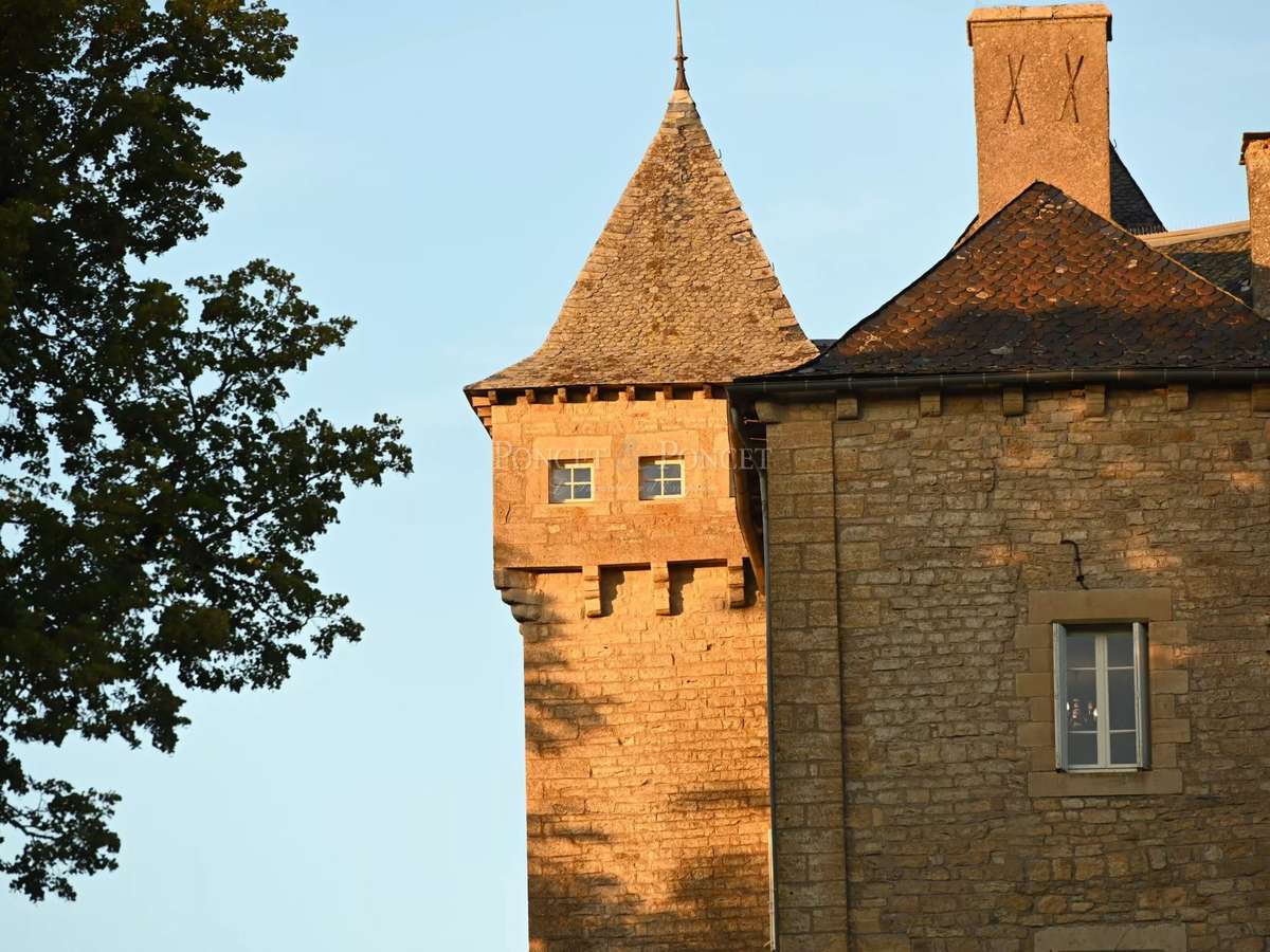 Château Rodez