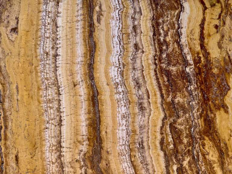 Maison Rodez - 6 chambres - 330m²