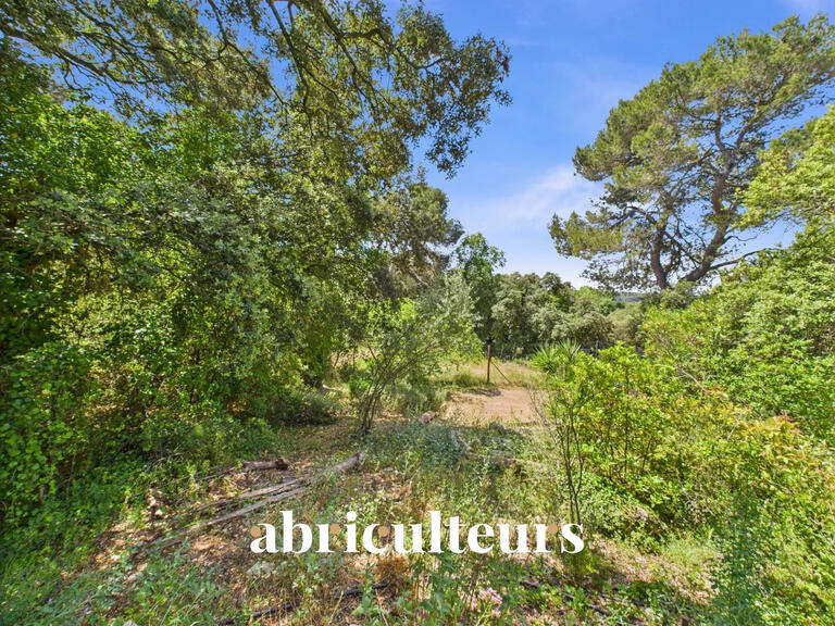 House Rognes - 7 bedrooms - 365m²