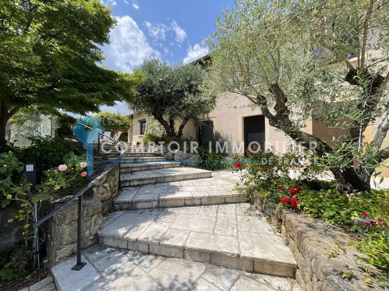 Villa Roiffieux - 8 chambres - 342m²