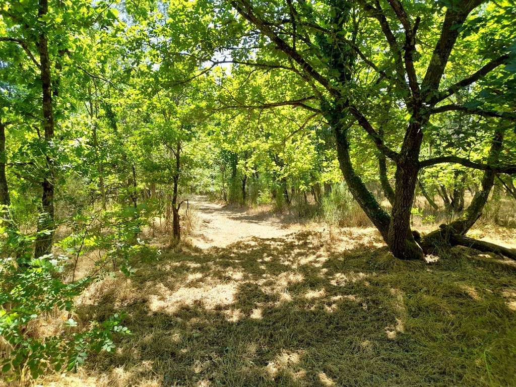 Maison Romorantin-Lanthenay