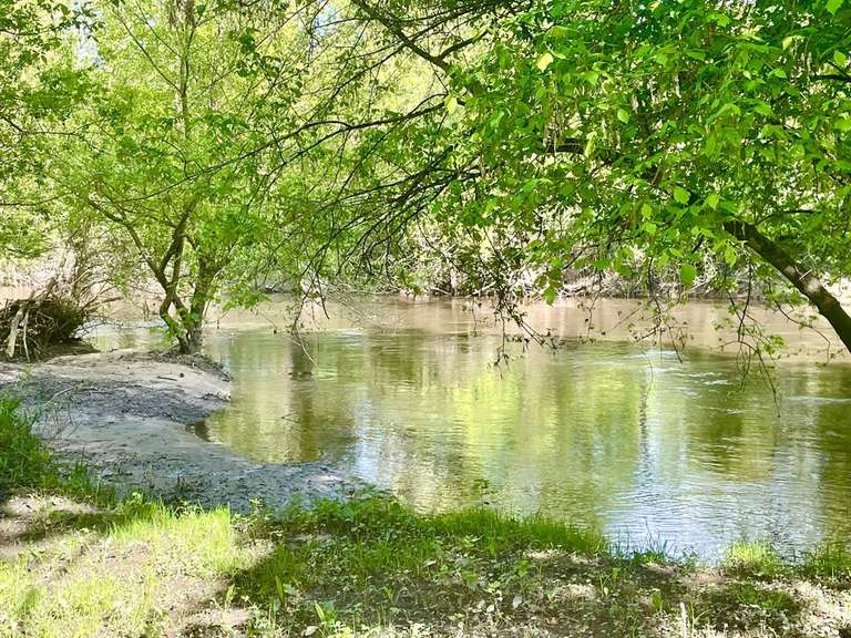 House Romorantin-Lanthenay - 8 bedrooms - 530m²