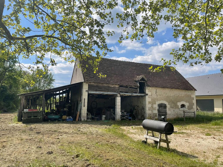 Maison Romorantin-Lanthenay - 5 chambres - 530m²