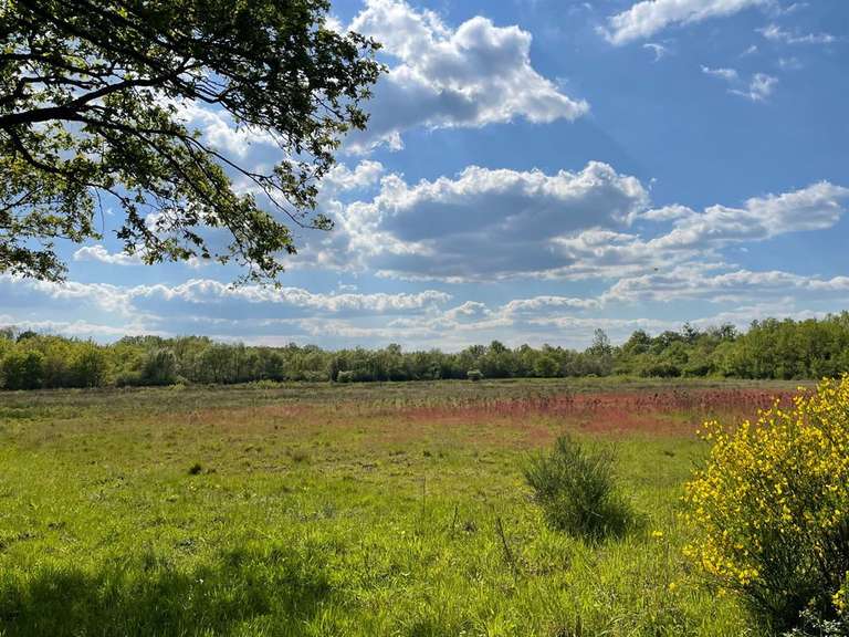 House Romorantin-Lanthenay - 8 bedrooms - 530m²