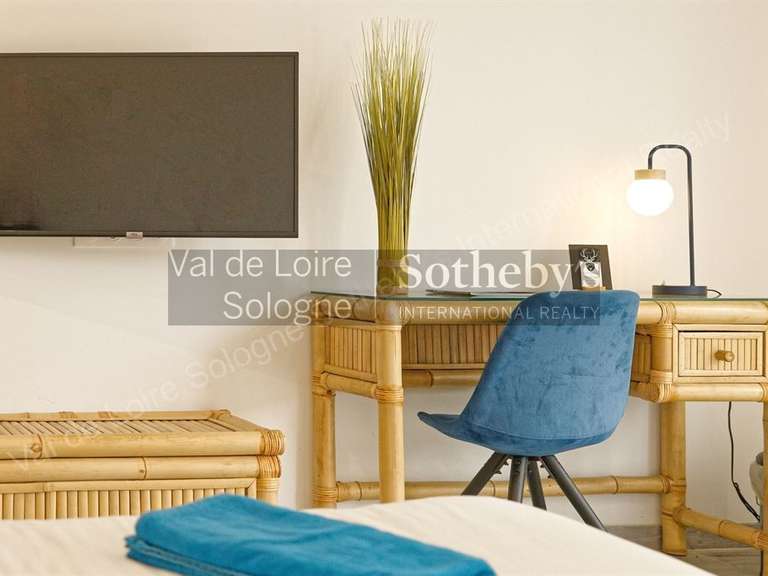 House Romorantin-Lanthenay - 8 bedrooms - 530m²