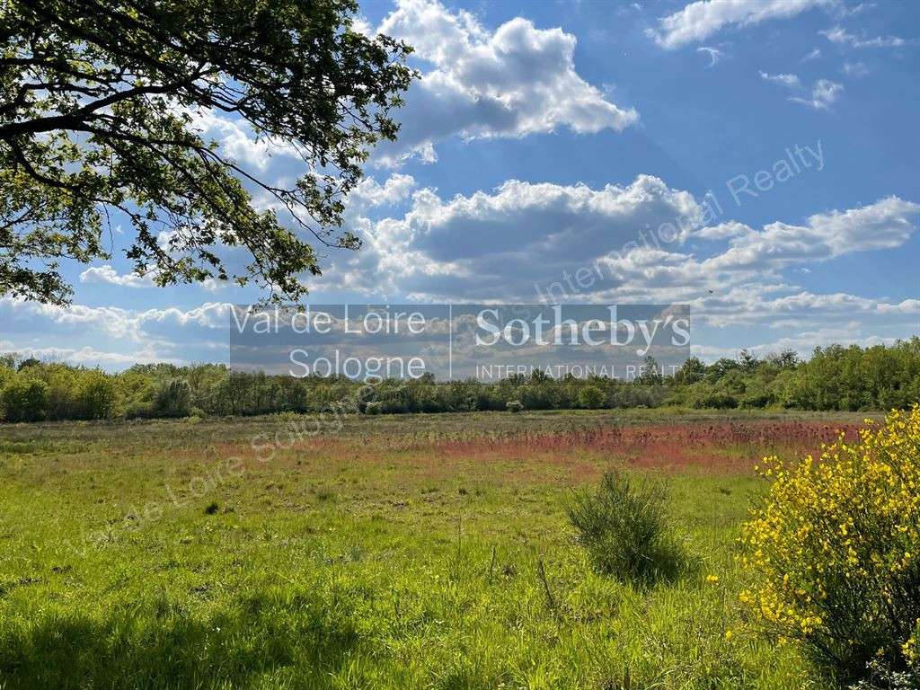 Maison Romorantin-Lanthenay