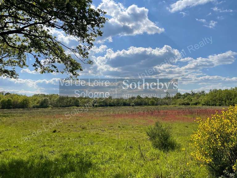 House Romorantin-Lanthenay - 8 bedrooms - 530m²