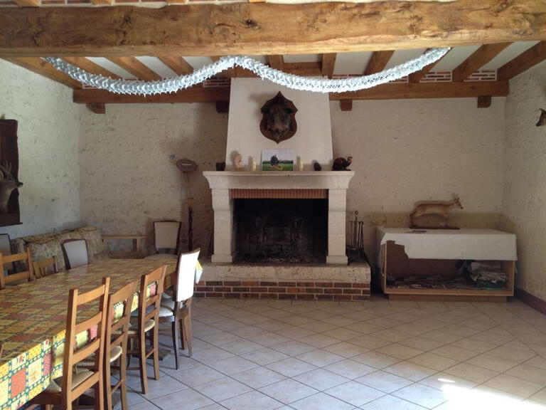 Maison Romorantin-Lanthenay - 5 chambres - 530m²