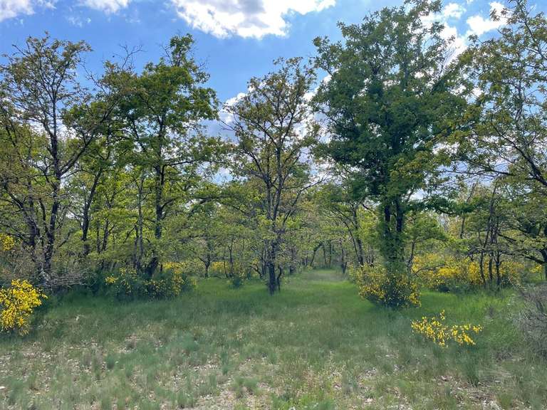 House Romorantin-Lanthenay - 8 bedrooms - 530m²