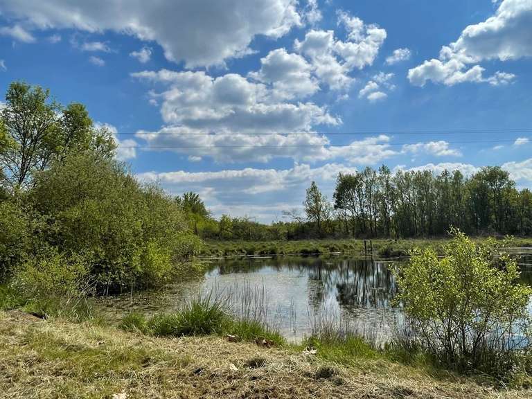 House Romorantin-Lanthenay - 8 bedrooms - 530m²