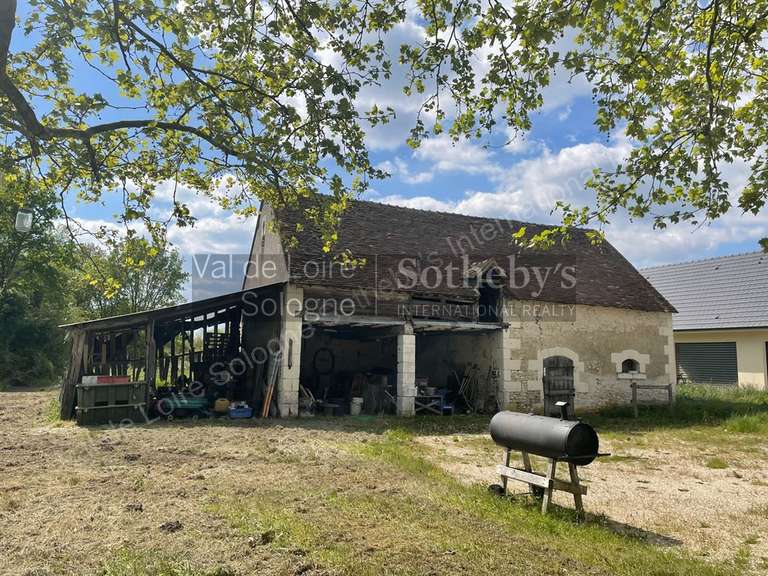 House Romorantin-Lanthenay - 8 bedrooms - 530m²