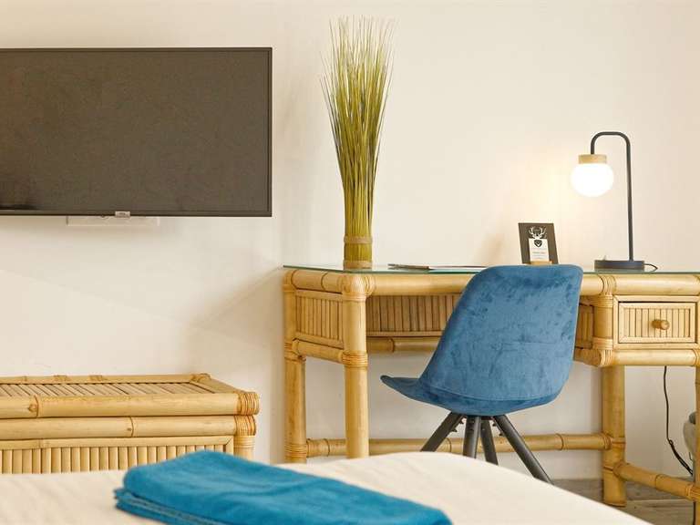 House Romorantin-Lanthenay - 8 bedrooms - 530m²