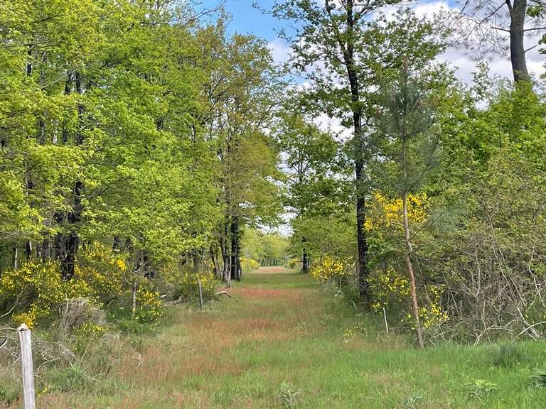 House Romorantin-Lanthenay - 8 bedrooms - 530m²