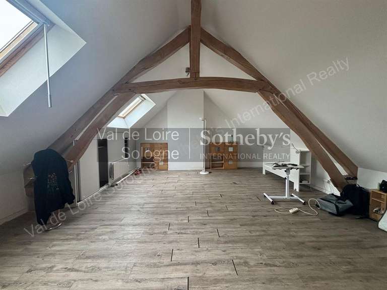 House Romorantin-Lanthenay - 8 bedrooms - 530m²