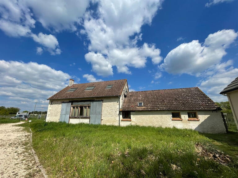 Maison Romorantin-Lanthenay - 5 chambres - 530m²