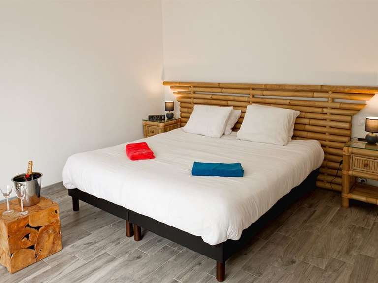 House Romorantin-Lanthenay - 8 bedrooms - 530m²