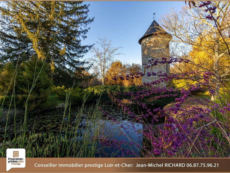 Maison Romorantin-Lanthenay - 3 chambres