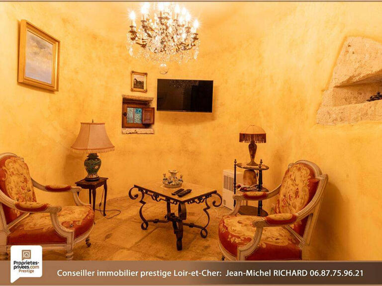 Maison Romorantin-Lanthenay - 3 chambres