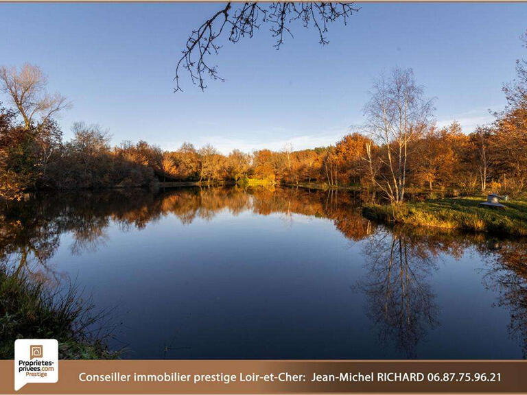 Maison Romorantin-Lanthenay - 3 chambres